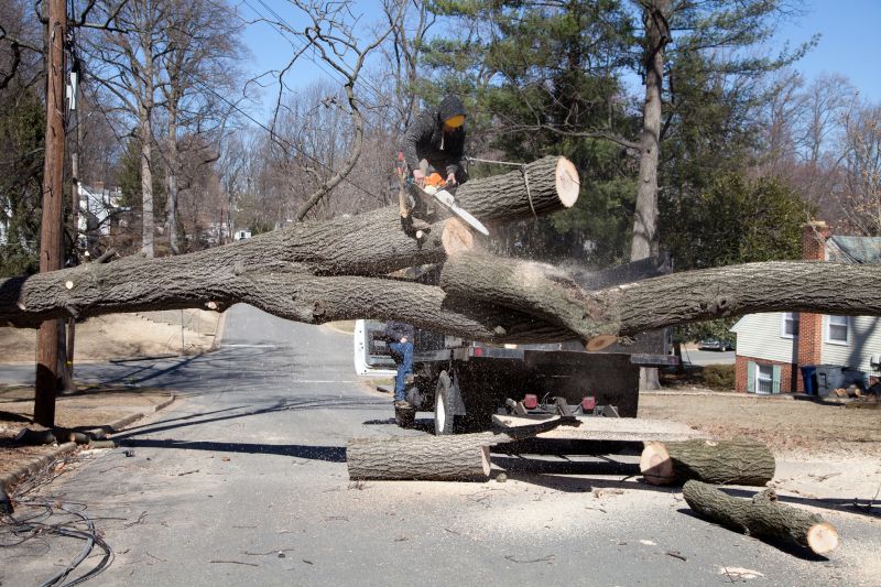 Emergency Tree Trimming