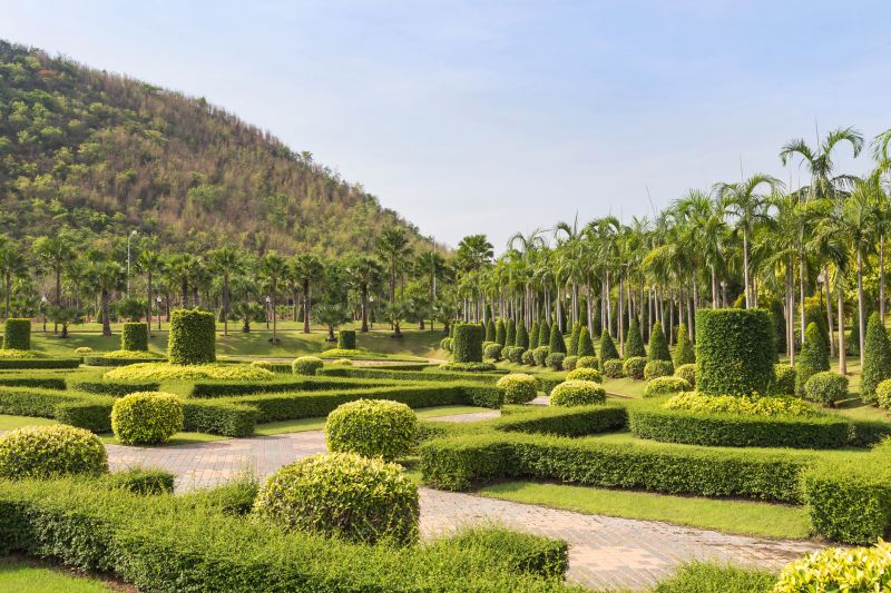 Healthy Tree Landscape